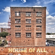 Front View : House Of All - HOUSE OF ALL (LP) - Tiny Global Productions / 00158957