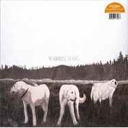 Front View : Foxing - THE ALBATROSS: TEN YEARS (BROWN VINYL LP) - Many Hats / MISC42