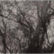 Front View : Grouper - WAY THEIR CREPT (LP) - Kranky / KRANK248LP