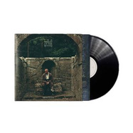Front View : Dermot Kennedy - THE WEIGHT OF THE WOODS (RECYCLED BLACK LP) - Island / 8809750