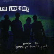 Front View : The Libertines - ANTHEMS FOR DOOMED YOUTH - EMI / 4746281