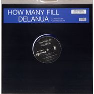 Front View : Delanua - HOW MANY FILL (40th Anniversary) Ltd coloured Edition - Zyx Music / MAXI 1085-12