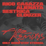 Front View : Fille - ONLY SKIES STAY ETERNAL - REMIXES EP - Distant Gaze / DSG006