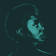 Front View : Ledisi - LEDISI SINGS NINA (LP) - BMG Rights Mgmt GmbH / 405053870254