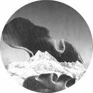 Front View : Eva Loveless / Slimy Ape / Furtive / Buckley - STEPFAMILY - Bait / BAIT 22