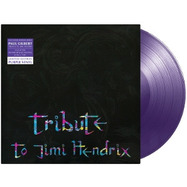 Front View : Paul Gilbert - TRIBUTE TO JIMI HENDRIX (LP) - MUSIC THEORIES RECORDINGS / MTR77851