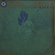 Front View : Crescent - RESIN POCKETS (LP + MP3) - Domino Records / geog44lp