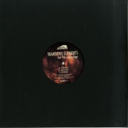 Front View : Transitive Elements - THE 90S ANTHOLOGY (VINYL 2) - Down Da Mountains / DDMNT02-FX2