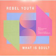 Front View : Rebel Youth - WHAT IS SOUL? (30TH ANNIVERSARY REMIXES) - Systematic Recordings / SYST0134-6