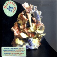 Front View : Hot Chip - A BUGGED OUT MIX (2XCD) - Newstate Music / Newcd9041