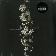 Front View : Bvdub - EXPLOSIONS IN SLOW MOTIONS (COLOURED 2LP + MP3) - n5MD / MD272LP