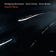 Front View : Wolfgang Muthspiel / Scott Colley / Brian Blade - ANGULAR BLUES (LP) - Ecm Records / 0848521