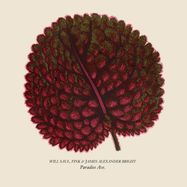 Front View : Will Saul, Fink & James Alexander Bright - PARADISE AVE (RED MARBLED VINYL) - Aus Music / AUS200DPHY