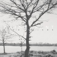 Front View : Rico Friebe - MAINTENANT (LP, LTD. 180G VINYL) - Time In The Special PracticeOfRelativity / RELTIME88V