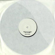 Front View : Plural - INVERSIONS - Separate Skills Recordings / SSPT005