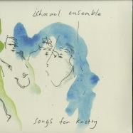 Front View : Ishmael Ensemble - SONGS FOR KNOTTY (LP) - Banoffee Pies / BPLP002