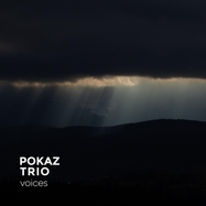 Front View : Pokaz Trio - VOICES (LP) - Xjazz! Music / 198391242168