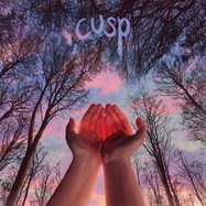 Front View : Cusp - WHAT I WANT DOESN T WANT ME BACK (LP) - EXPLODING IN SOUND RECORDS / LPEISC147