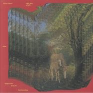 Front View : Atef Swaitat & Abu Ali - PALESTINIAN BEDOUIN PSYCHEDELIC DABKA ARCHIVE (LP) - Majazz Project / MAJAZZ-004-LP