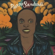 Front View : Pierre Sandwidi - LE TROUBADOUR DE LA SAVANE 1976-1980 (LP) - Born Bad Records / BB 104LP
