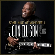 Front View : John Ellison - SOME KIND OF WONDERFUL (LP) - Music On Vinyl / MOVLPG3627