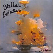 Front View : Aaron Lee Tasjan - STELLAR EVOLUTION (LTD. BLACK VINYL LP) - Blue Elan Records / BER1466LP