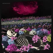 Front View : Dead Rabbitts - REDEFINED (LP) - Judge and Jury Records / 843563186688
