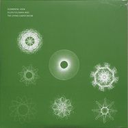 Front View : Ellen Fullman - ELEMENTAL VIEW (CD) - Room 40 / RM4247