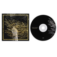 Front View : Forest Swords - ENGRAVINGS - 2025 EDITION (CD, DIGISLEEVE) - Dense Truth / TJRUTH010CD