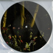 Front View : NYTEOWL - LOVE OF MINE (1- SIDED 7 INCH PIC DISC) - Love Interest / SCENE 1P