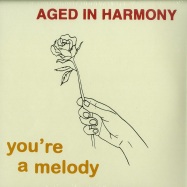 Front View : Aged In Harmony - YOURE A MELODY (REPRESS)(3X7 INCH + FANZINE) - Melodies International / MEL4XX