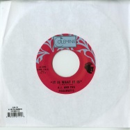 Front View : AJ & The Jiggwatts - IT IS WHAT IT IS / PARTY MUSIC (7 INCH) - Colemine / CLMN138