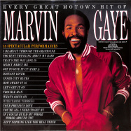 Front View : Marvin Gaye - EVERY GREAT MOTOWN HIT OF MARVIN GAYE (LP) - Motown / 0849870