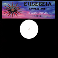 Front View : Eusebeia - EVOLUTION - Warehouse Rave / WRX17