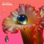 Front View : Shygirl - FABRIC PRESENTS: SHYGIRL (2LP+DL) - Fabric / FABRIC219LP