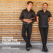 Front View : Tim Collins / Martin Gasselsberger - SONGS FROM THE TREEHOUSE (180G BLACK VINYL) (VINYL AUDIOPHIL) - GLM Music / 2944341GLY