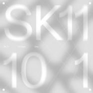 Front View : Various Artists - SK11X 10Y (3X12 INCH) - SK_Eleven / SK11X10YLP