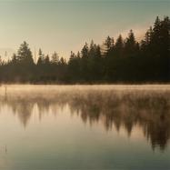 Front View : Purl - DEEP GROUND (LTD 3X12 INCH) - Lila Art / LILA-ART2