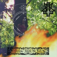 Front View : Abigor - VERW�STUNG / INVOKE THE DARK AGE (LP) - Darkness Shall Rise / 2900389DSR