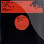 Front View : Bob Sinclar Presents Fireball - WHAT I WANT - Data Records Data185P1