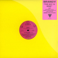 Front View : Brandy - THE BOY IS MINE - Gay Records / gay003
