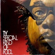 Front View : Ty - SPECIAL KIND OF FOOL (CD) - BBE Records / bbe132acd