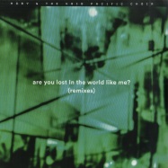 Front View : Moby & The Void Pacific Choir - ARE YOU LOST IN THE WORLD LIKE ME? (REMIXES) - Little Idiot / idiot52v
