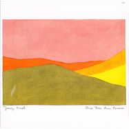 Front View : Jonny Nash - ONCE WAS OURS FOREVER (LP) - Melody as Truth / MAT24