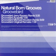 Front View : Natural Born Grooves - GROOVEBIRD (REMIXES) - gt2-35