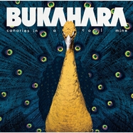 Front View : Bukahara - CANARIES IN A COAL MINE (LP) - Bml Records / BMLR2002