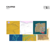 Front View : Plevna - CALYPSO (LP) - Ton Ton / TONTON04