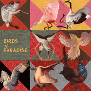 Front View : Thomas Dollbaum - BIRDS OF PARADISE (PINK LP) - Dear Life Records / 00175960