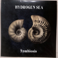 Front View : Hydrogen Sea - SYMBIOSIS - Unday Records / UNDAY128EP