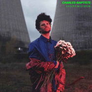 Front View : Charles-Baptiste - LE LOVE & LE SEUM (LP) - Robert Records / 20190413